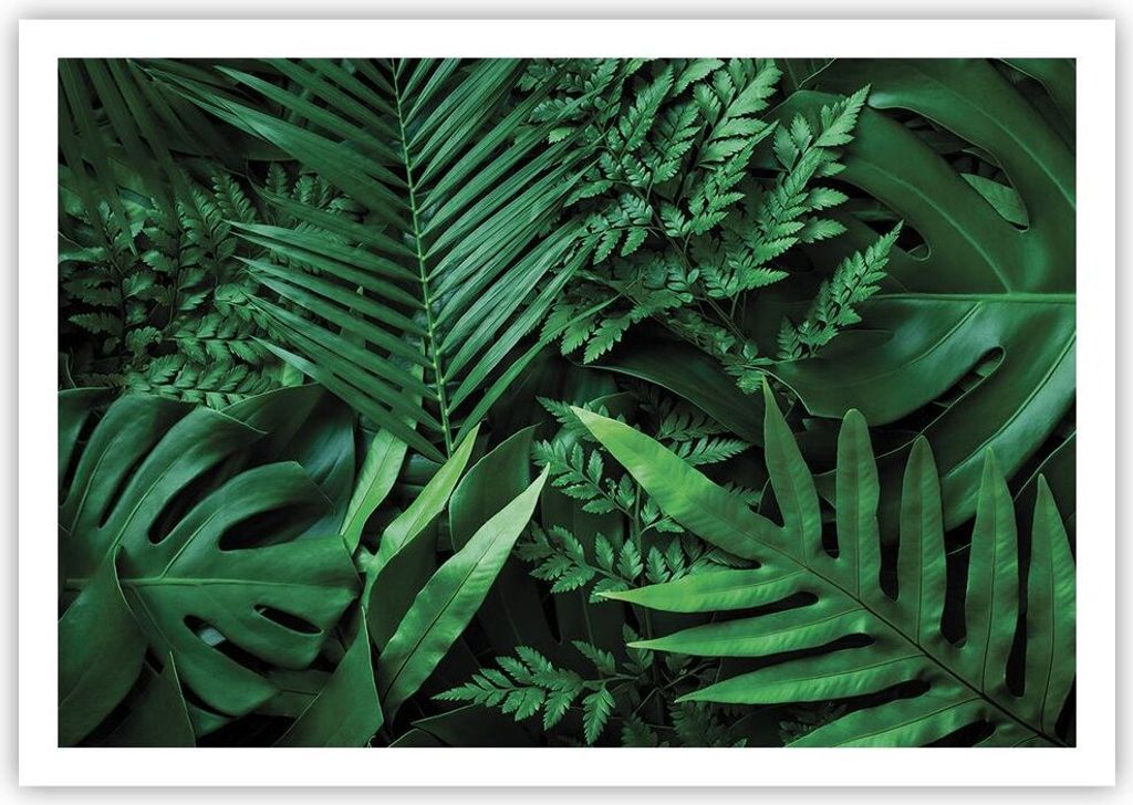 Poster - Poster ohne Rahmen - Exotisch Blätter Monstera - 100x70 cm - Wand Bild - Wanddeko - Wandbilder - Kunstposter - Wandposter - Bilder - Kuns...