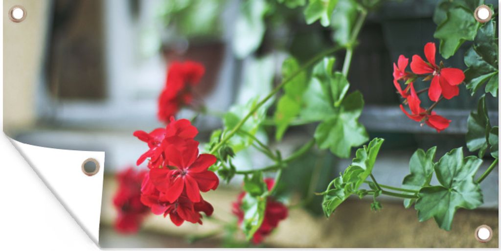 MuchoWow 60x30 cm Outdoor-Poster Gartendeko Sichtschutz Garten Poster für den Garten Hängende rote Geranie