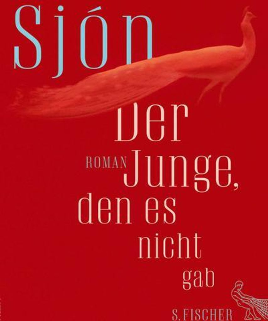 Der Junge, den es nicht gab