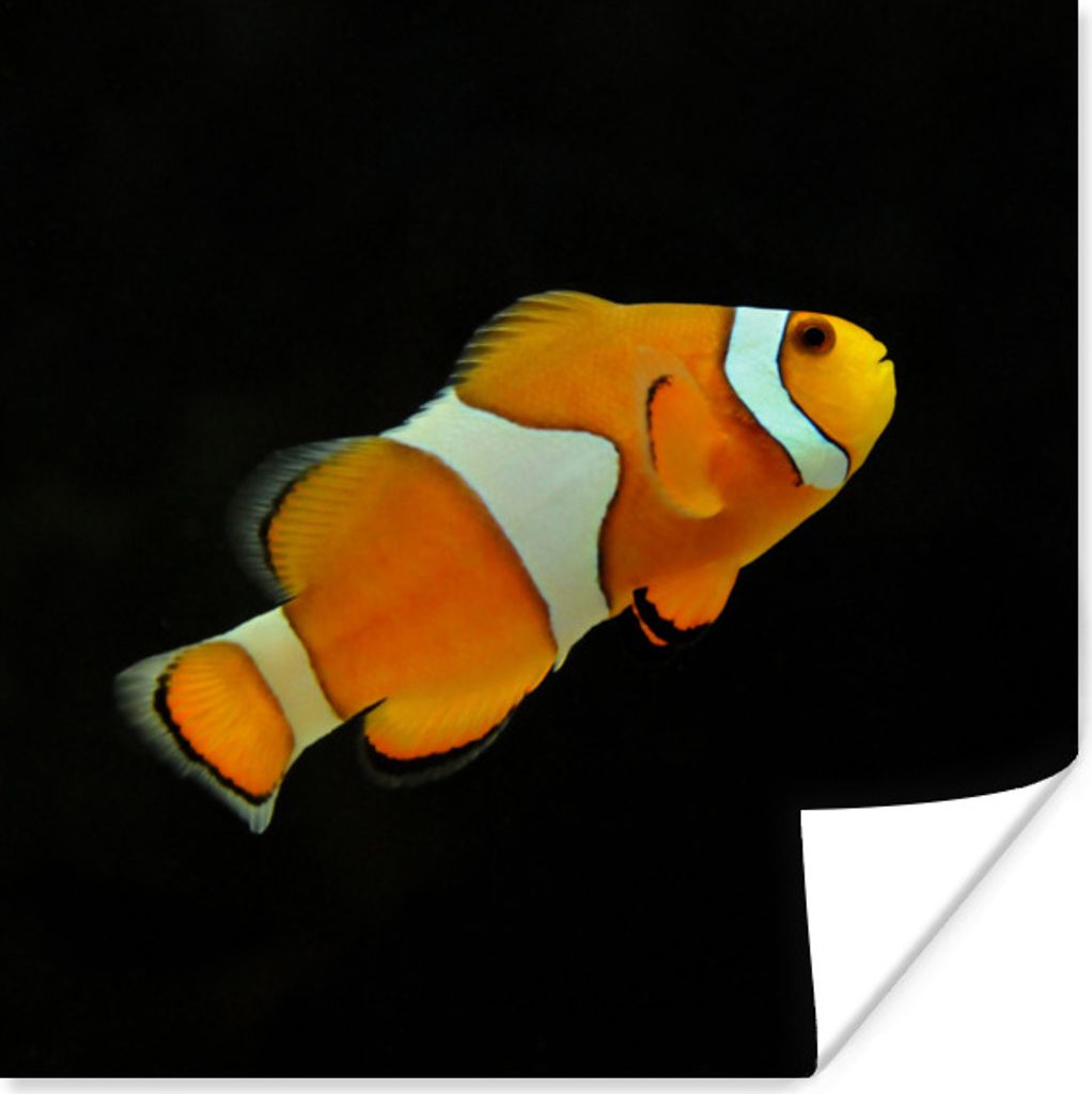 MuchoWow Poster Fisch - Linie - Schwarz 30x30 cm - Wandposter - Printing