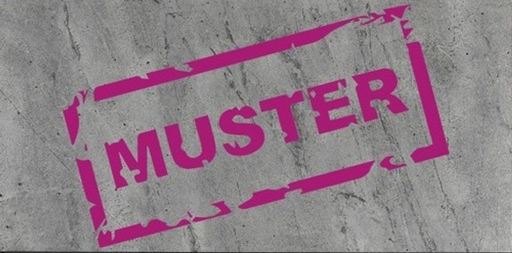 Muster zu Schieferplatte Silver Grey in halber DIN A 4 Größe