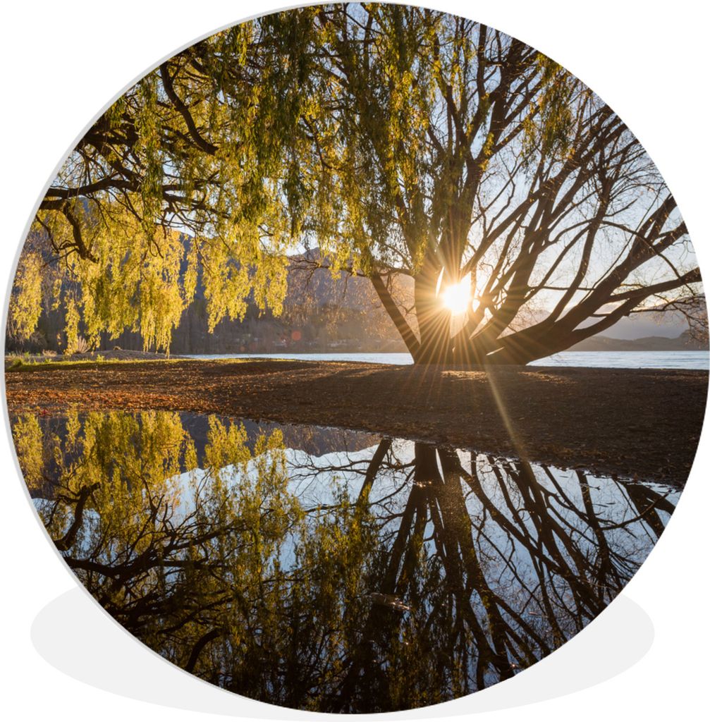 MuchoWow Rundes Wandbild - Runde Bilder Wasser - Baum - Neuseeland Ø 30 cm Kreis Wanddekoration Kunststoff - Wandkreis - Wandschmuck - Schlafzim...