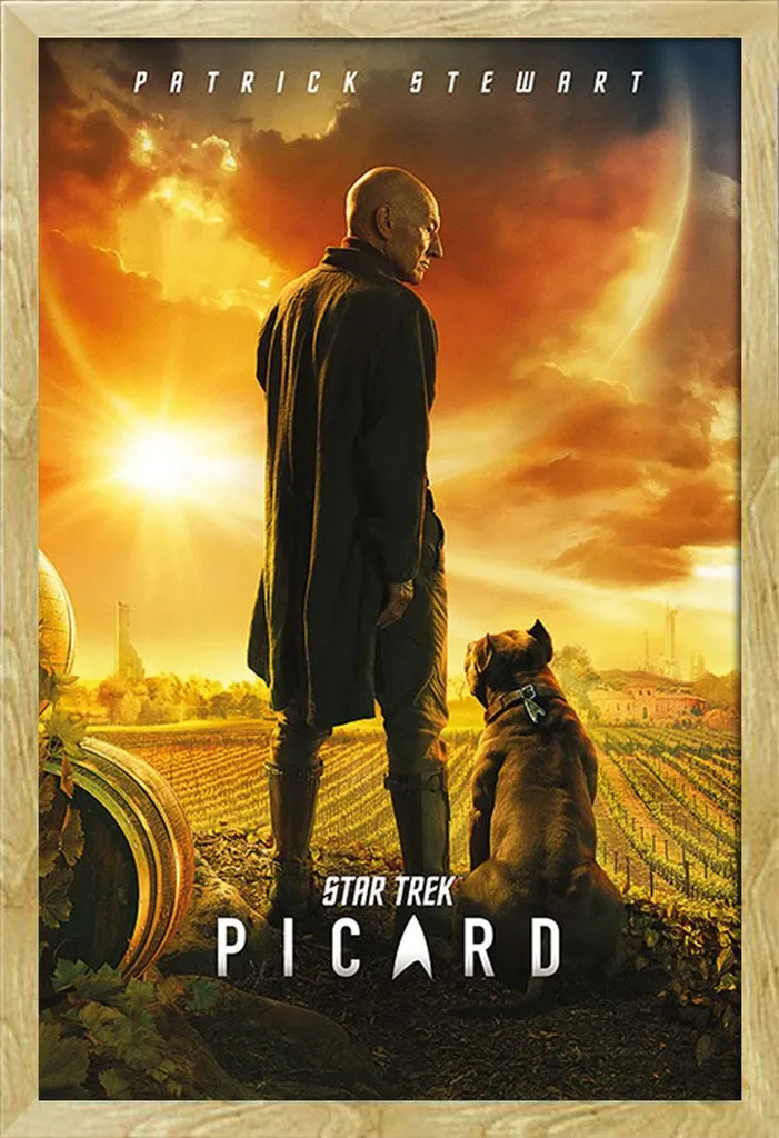 Star Trek - Poster - Picard Numero Uno + cornice rimovibile, Shinsuke® Maxi MDF faggio, vetro acrilico - 1