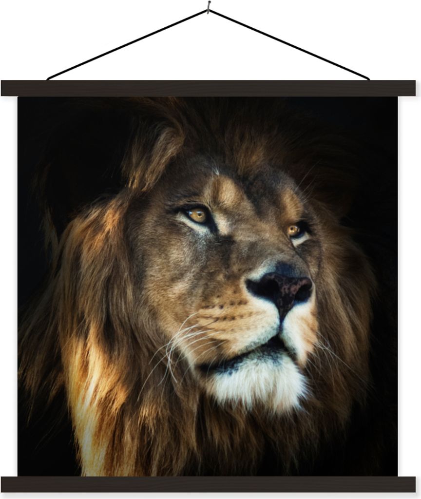 MuchoWow Textilposter Löwe - Fell - Schwarz 40x40 cm mit schwarzem Rahmen - Fotos