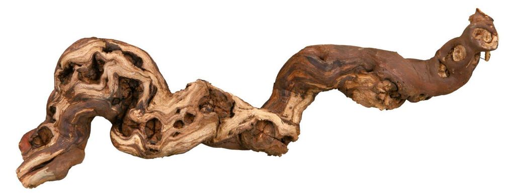 TRIXIE Weinrebe, wassergestrahlt, M: 30–40 cm Produktbild 