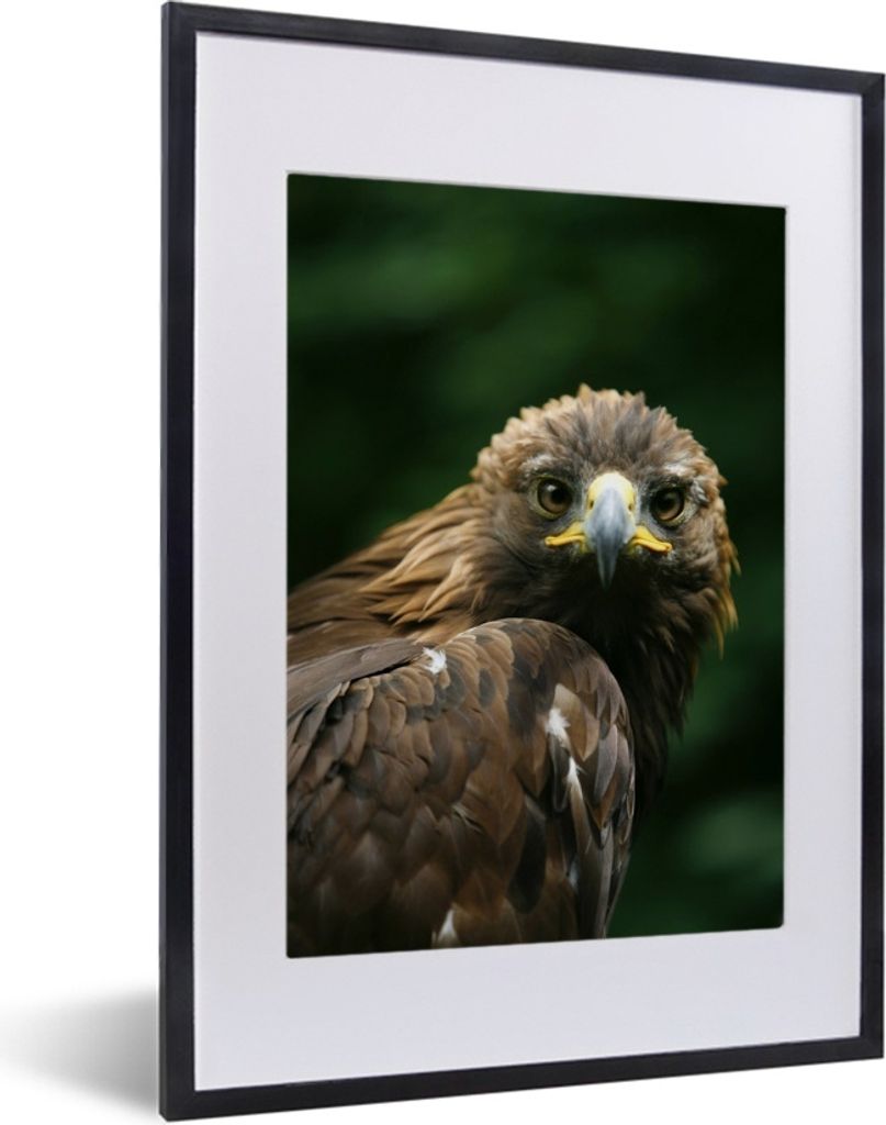 MuchoWow® MuchoWow® Gerahmtes Poster Adler - Braun - Produktbild 