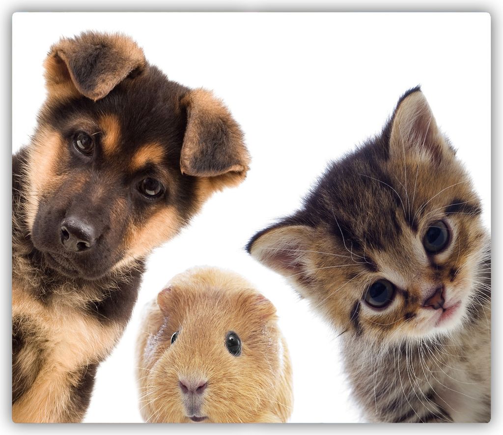 Tulup Glas Herdabdeckplatte Glaskeramikkochfeld-Abdeckung Spritzschutz Glasabdeckplatte Kochplattenabdeckung und Schneidebrett - Einteilig - 60x52 ...