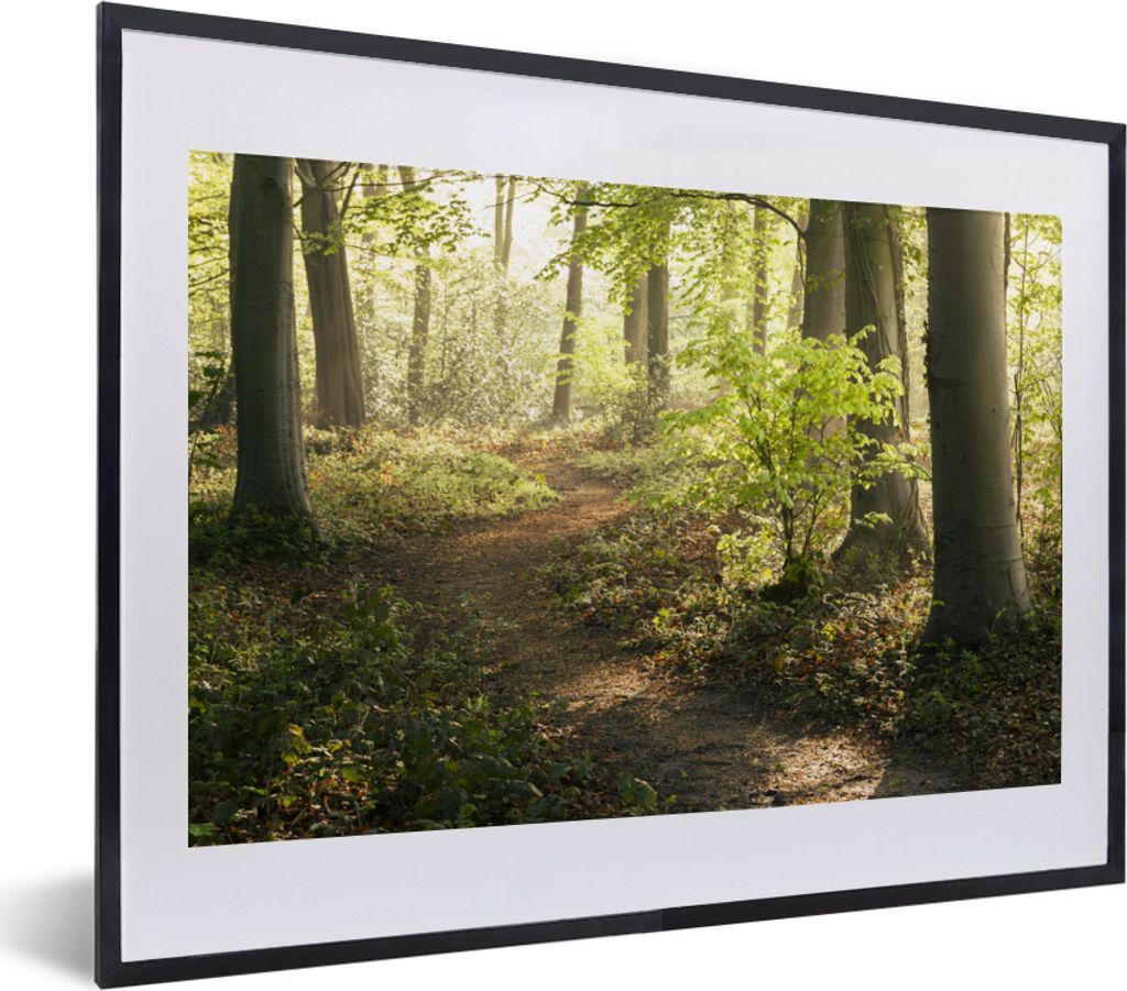 MuchoWow MuchoWow Gerahmtes Poster Wald - Bäume - Weg - Sonne - Pflanzen - Laub - Natur 40x30 cm - Poster mit zchwarzem Bilderrahmen - Bilderr...