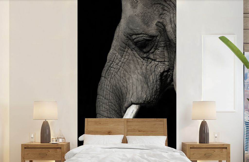 MuchoWow Fototapete für Wohnzimmer oder Schlafzimmer Wandtapete Vinyl Motivtapete Elefant - Tier - Stoßzahn - 120x240 cm - Hintergrundbild