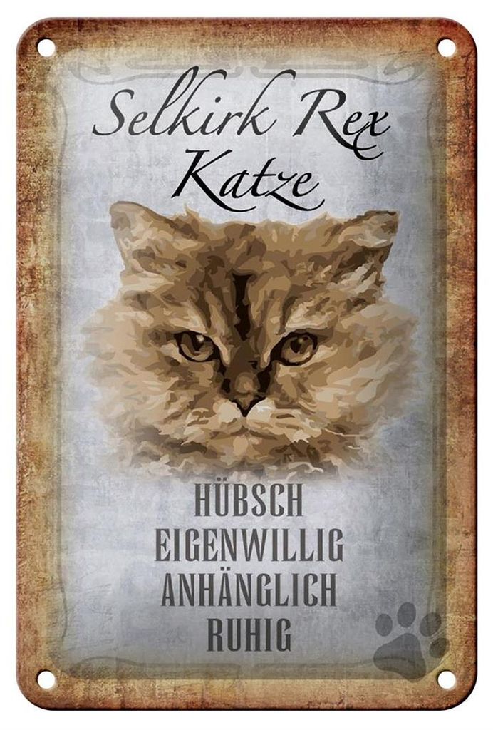 Blechschild Spruch 12x18cm Selkirk Rex Katze ruhig Schild
