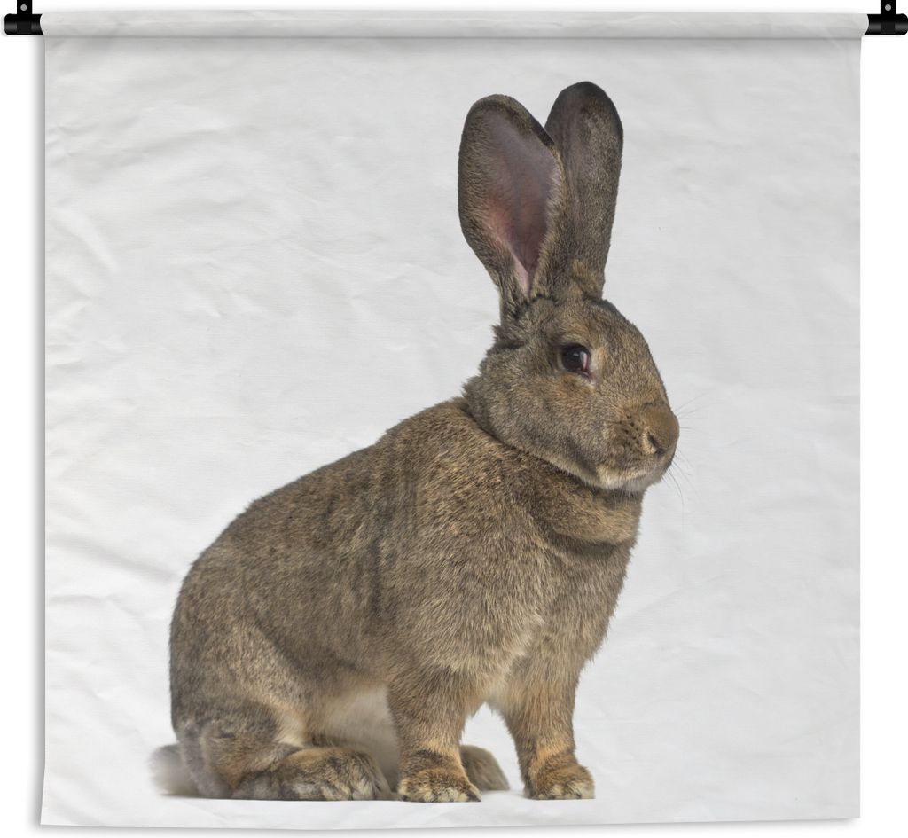 MuchoWow Wandteppich Wandbehang Seite eines flämischen Riesen 150x150 cm Tapisserie Dekoration Wandtuch - Wohnaccessoires - Modernes