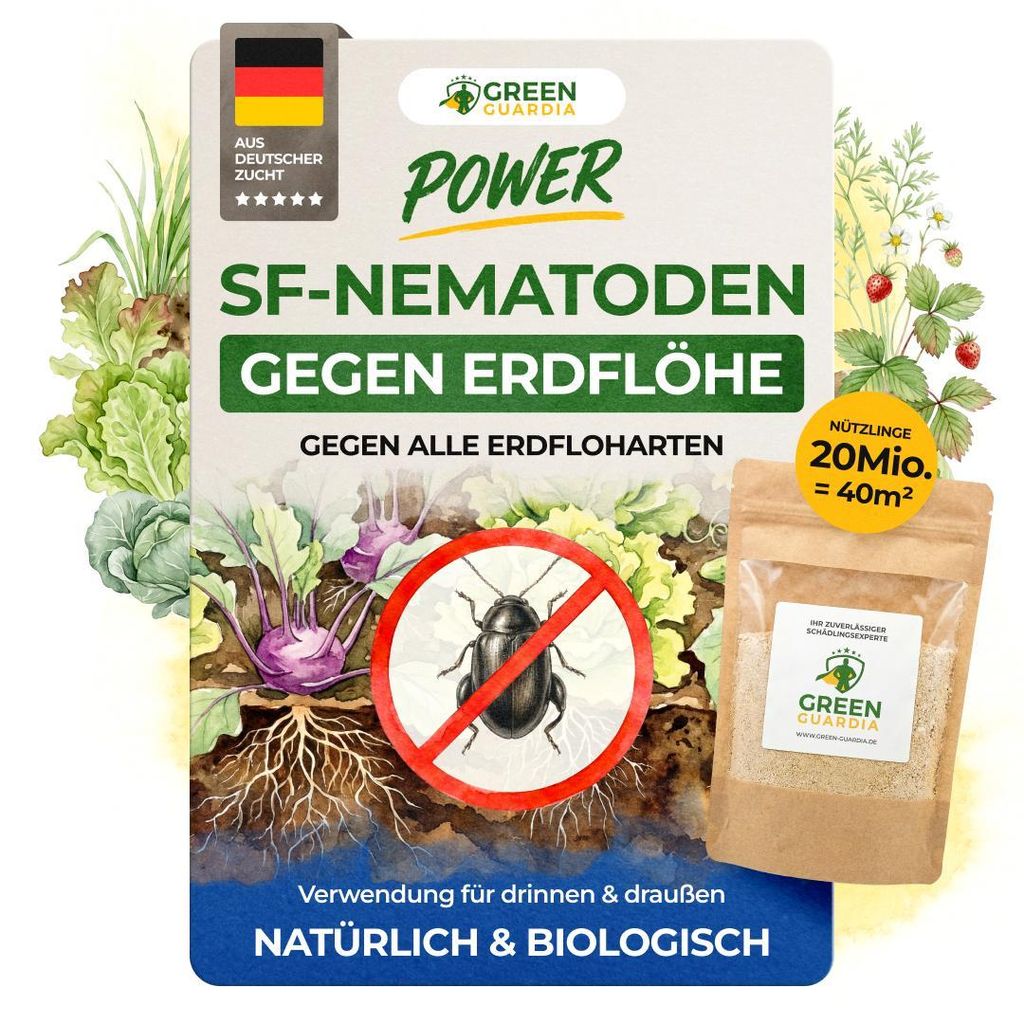 SF Nematoden gegen Erdflöhe - 20 Mio. für 40m² – Mittel gegen Erdflöhe im Haus & Garten, Effektive Erdfloh Bekämpfung, Biologisch Erdfloh be...