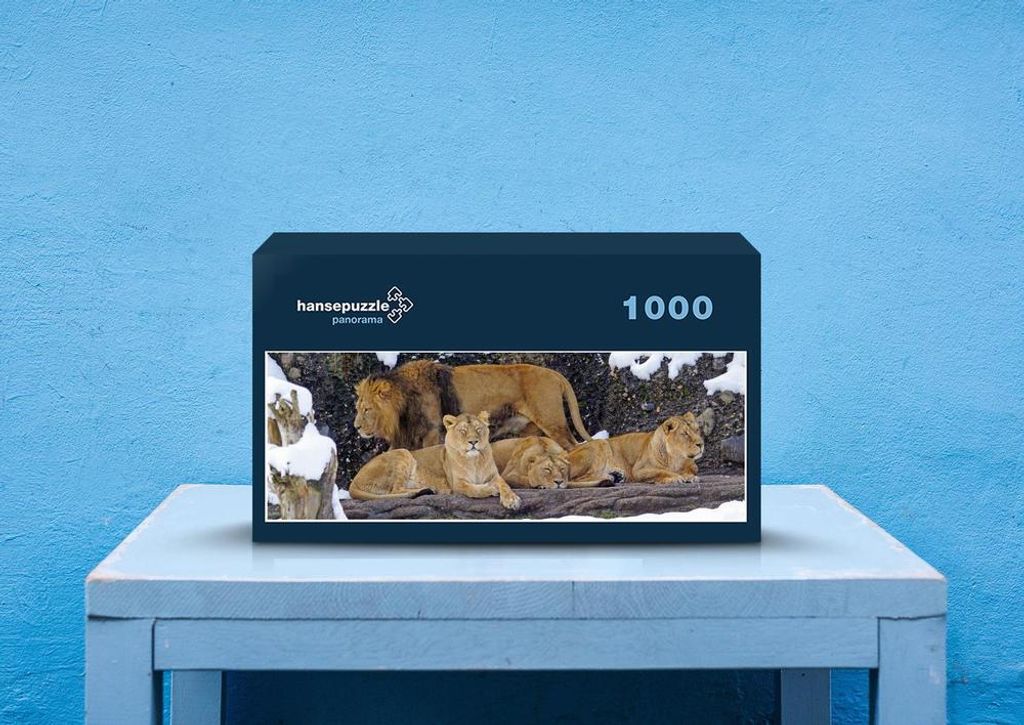 hansepuzzle 30117 - Löwenrudel Puzzle, 1050 Teile, Tierwelt, 60,0 x 46,0cm mit hochwertiger Aufbewahrung, Kartonbox und wiederverschließbarem Beutel