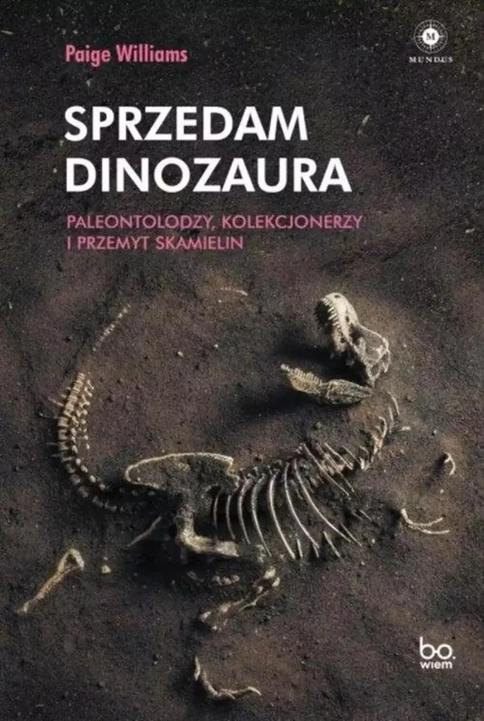Dinosaure fossilisé pour décoration de cabinet de curiosités