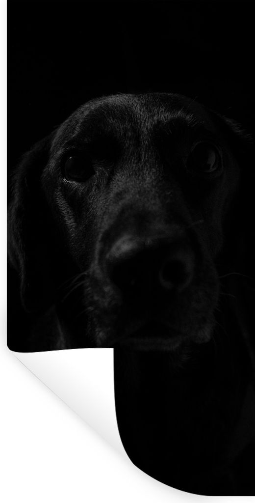 MuchoWow Wandtattoo Wandsticker Wandaufkleber Hund - Haustier - Schwarz 60x120 cm Selbstklebend und Repositionierbar - Selbstklebend - Fototapeten