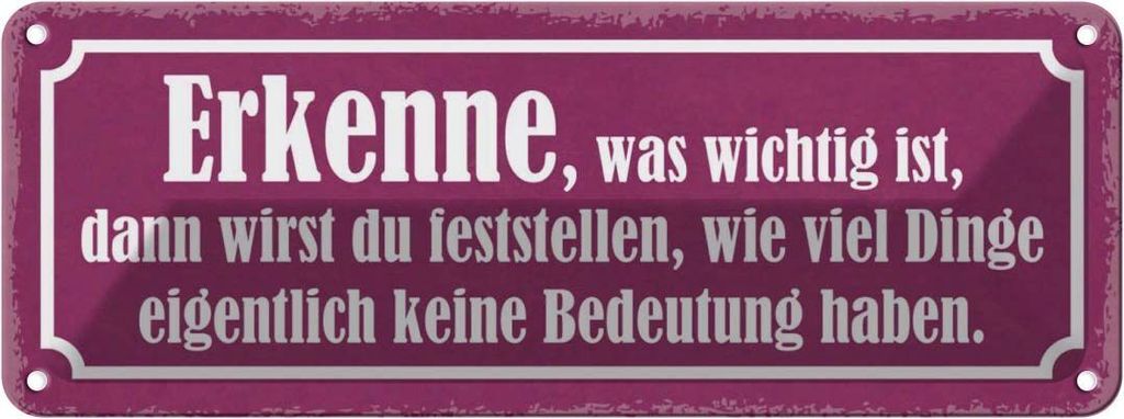 vianmo Blechschild 10x27 cm erkenne was wichtig ist dann Dekoration Spruch Zitat