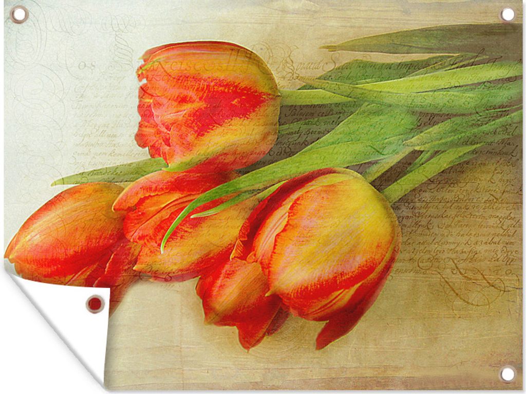 MuchoWow 40x30 cm Outdoor-Poster Gartendeko Sichtschutz Garten Poster für den Garten Eine Illustration von orangefarbenen Tulpen auf einem helle...