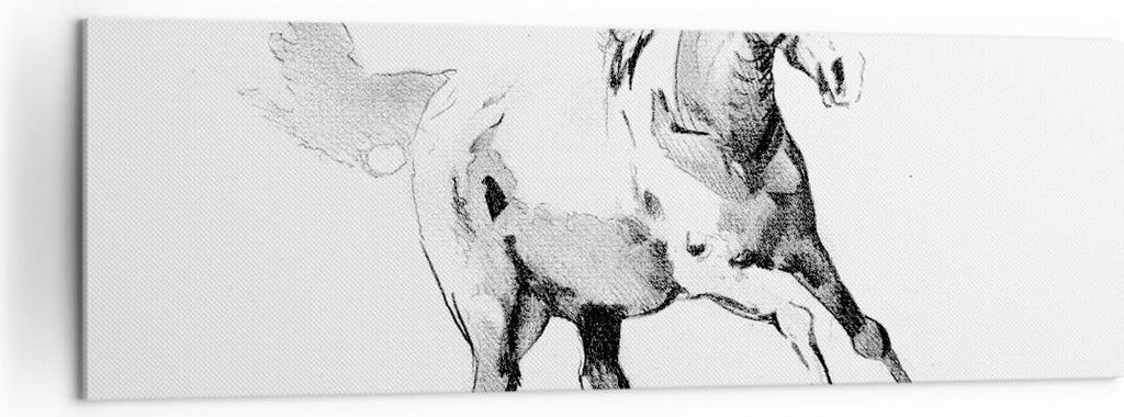 Bild auf Leinwand - Leinwandbild - Einteilig - Pferd Galopp Tier - 160x50cm - Wand Bild - Wanddeko - Wandbilder - Leinwanddruck - Bilder - Wanddeko...