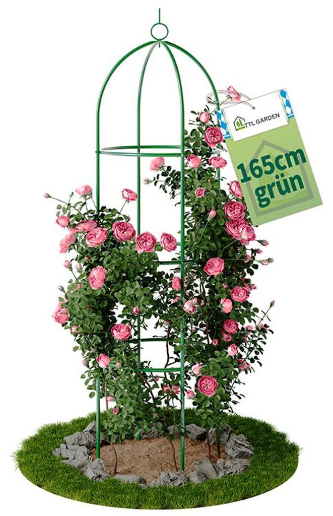 TTL GARDEN Rankhilfe Obelisk L 165x40cm grün – Rankgitter Produktbild 
