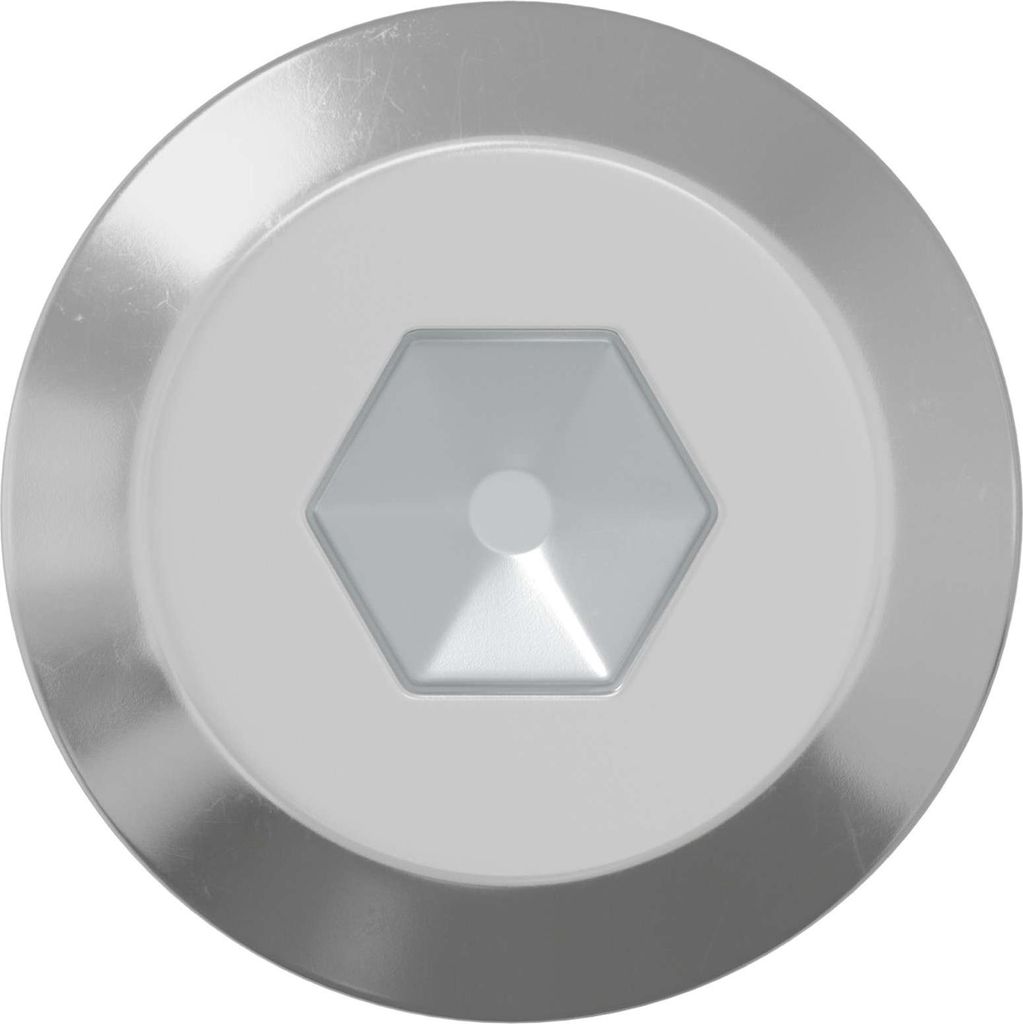 vidaXL Schraube 2 pcs Silber M6 x 100 mm Stahl