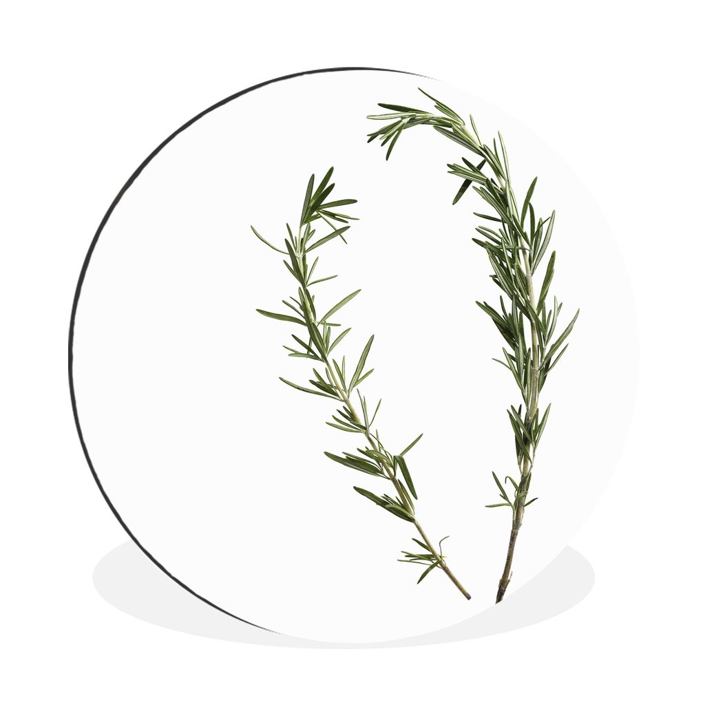 MuchoWow Aluminium Wandkreis Zwei Rosmarinzweige auf weißem Hintergrund Ø 30 cm Wanddeko Modern Wohnzimmer - Wand Bild - Wohnzimmer - Runde Bil...