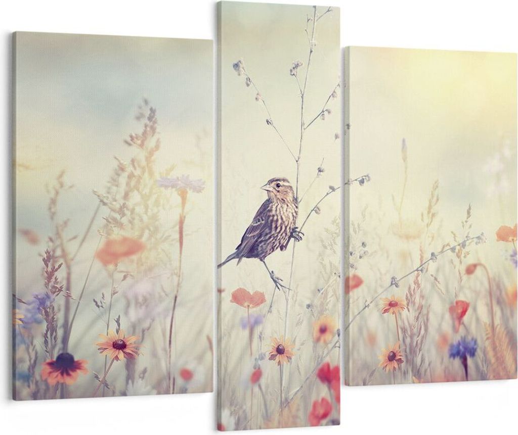 Bild auf Leinwand - Leinwandbild - 3 Teile - Vogel Wildschwein Wiese - 95x80cm - Wand Bild - Wanddeko - Wandbilder - Leinwanddruck - Bilder - Wandd...