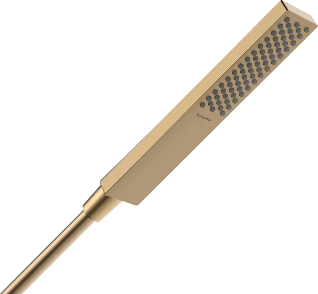 Hansgrohe Pulsify E 100 Hand Shower EcoSmart+ 24321140 Specifiche