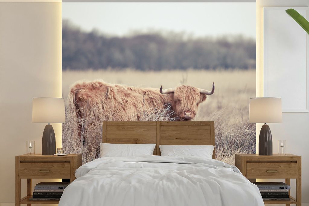 MuchoWow Fototapete für Wohnzimmer oder Schlafzimmer Wandtapete Vinyl Motivtapete Scottish Highlander - Landschaft - Gras - 260x260 cm - Papiert...