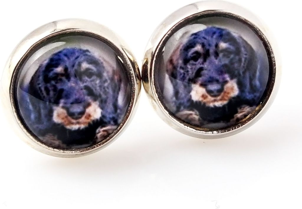 Dachshund Rauhhaar, Dackel, Teckel - Ohrringe in einer Schachtel, Ihr Foto, handgefertigter Schmuck, Eigenmarke von Art-Dog.