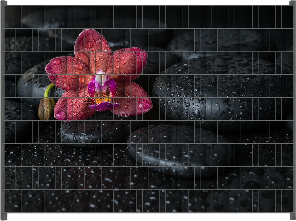 Wallario Zaunsichtschutz mit Motiv Orchideen-Blüte auf schwarzen Steinen, benetzt mit Wasser-Tropfen für Ein- und Doppelstabmatten Zäune in der ...
