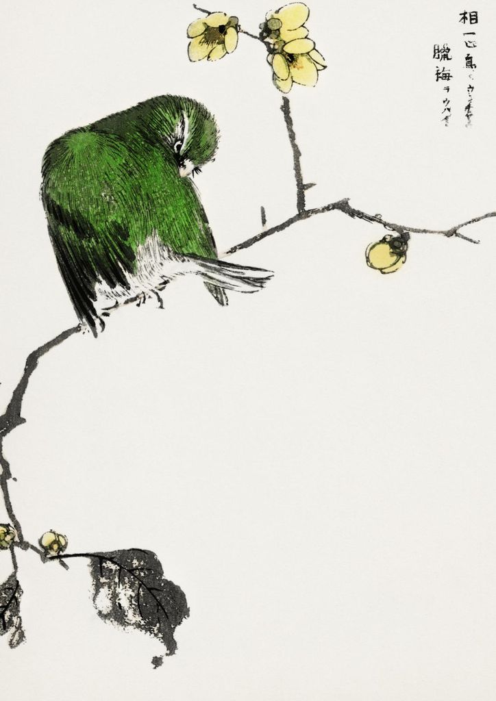 Plakat 29,7x42cm Fairy Pitta, Japanischer Kashu Vintage für das Wohnzimmer