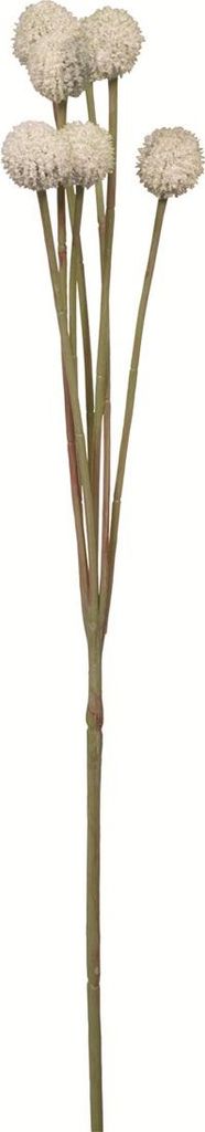 Fink CRASPEDIA, Kunstblume, Kunstfasern, creme, L. 10 cm, B. 10 cm, H. 60 cm 181006