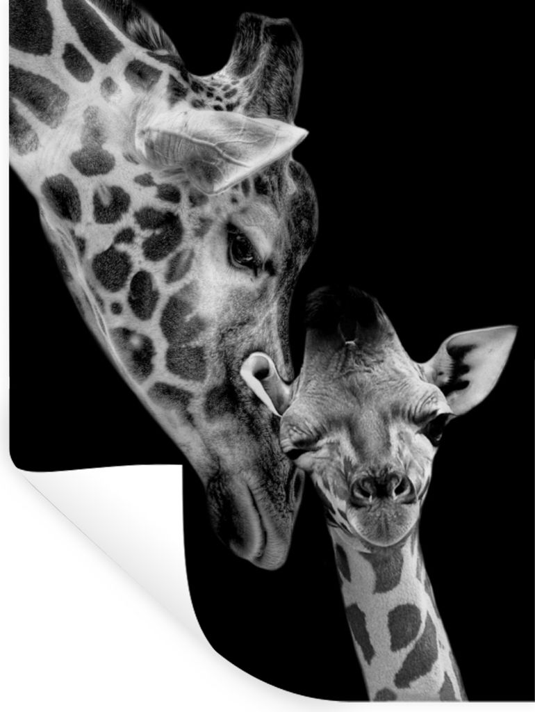 MuchoWow Wandtattoo Wandsticker Wandaufkleber Porträt - Giraffe - Tiere - Schwarz - Weiß 30x40 cm Selbstklebend und Repositionierbar - Sticker ...