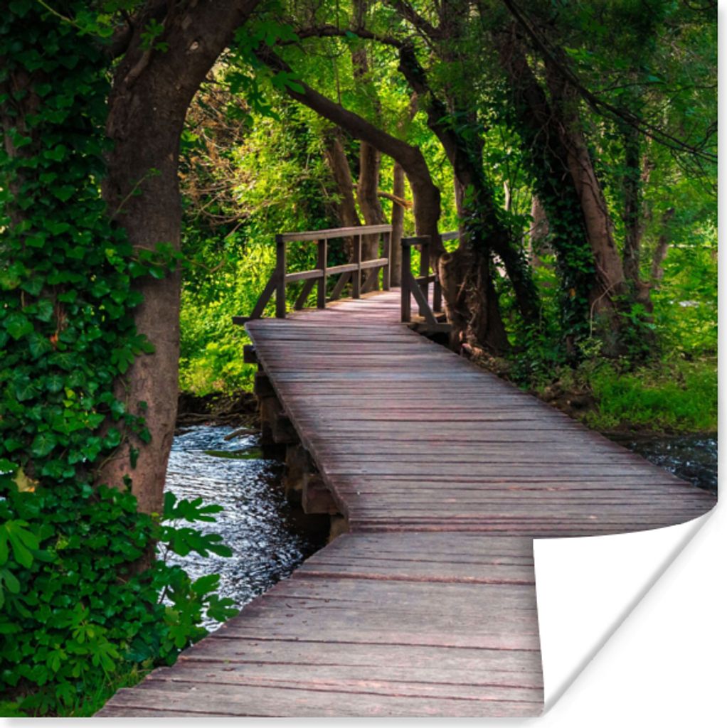 MuchoWow Poster Wald - Natur - Brücke 100x100 cm - Babyzimmer