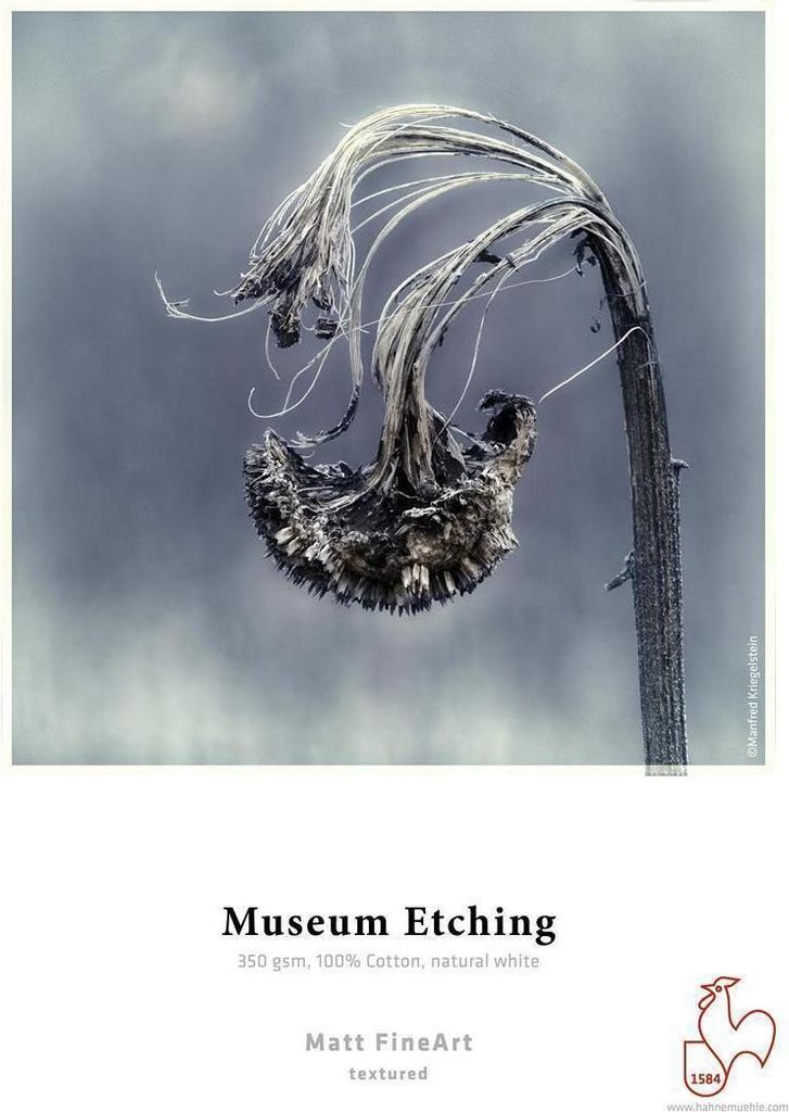 Hahnemühle Museum Etching FineArt Carta Inkjet - 350 g/m² - Immagine del prodotto 