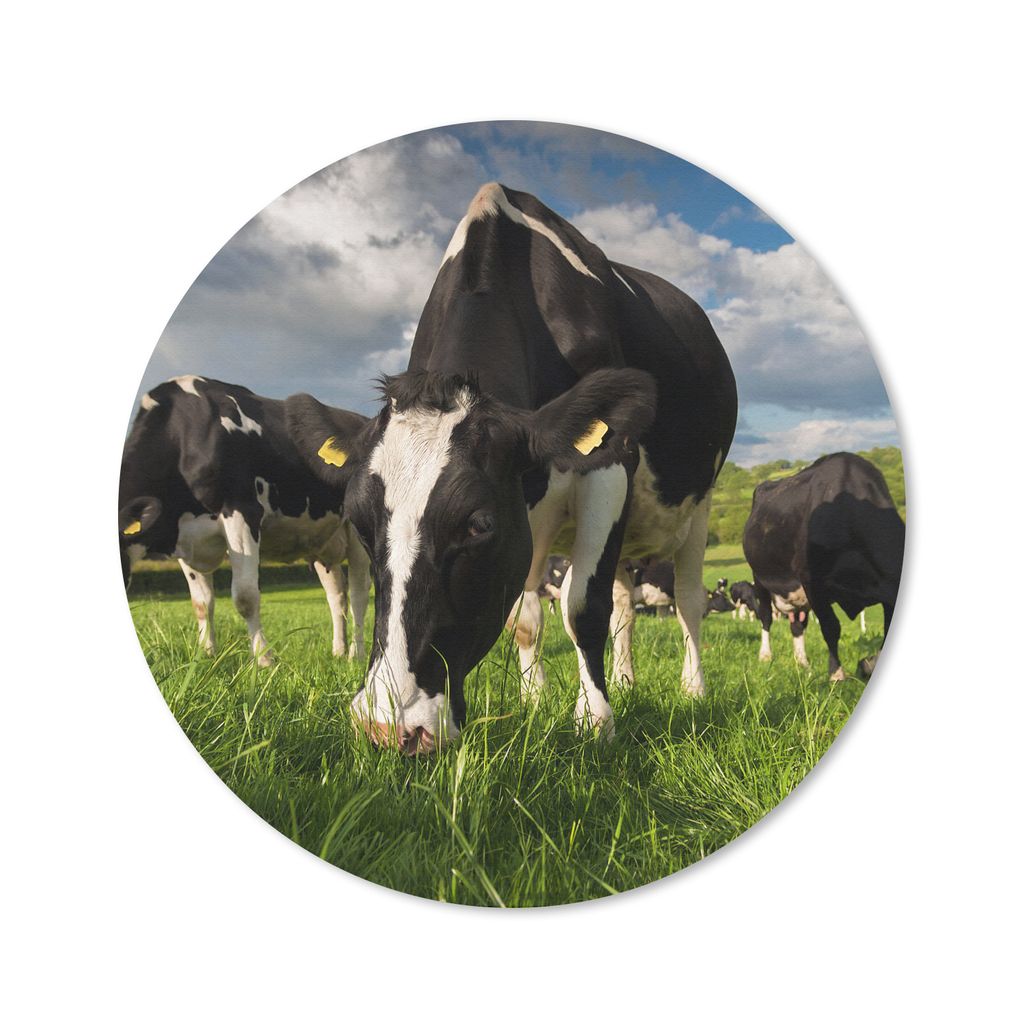 MuchoWow Mauspad Mousepad Kuh - Natur - Gras - Tiere 20x20 cm - Mousepads - Maus Mat - Pad - Mausunterlage - Schreibtischmatte