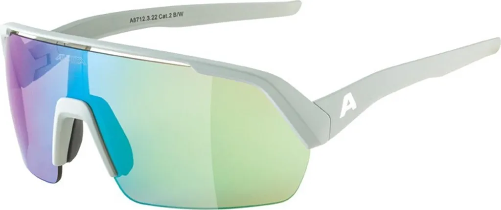 Lunettes Alpina Turbo HR Gris Fumé Mat : Performance et Style Sportif