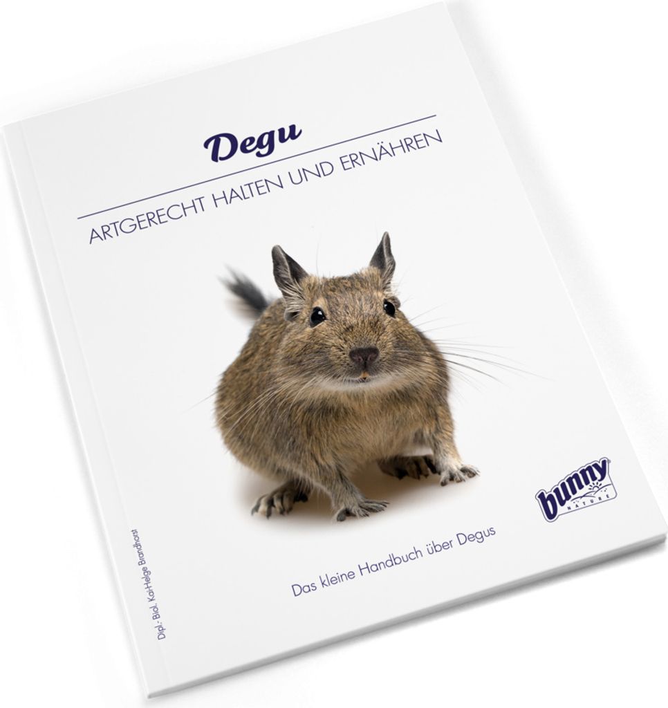Bunny BOOKS Degu