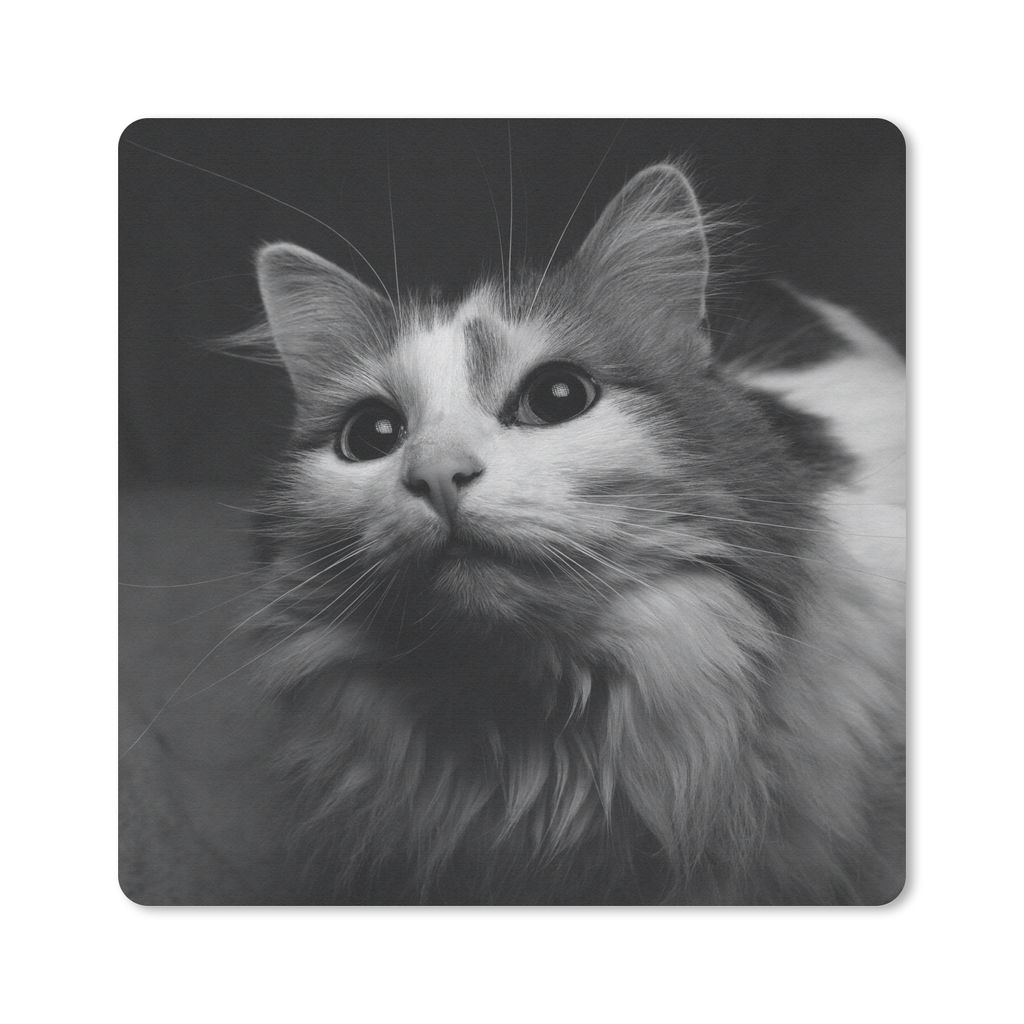 MuchoWow Mauspad Mousepad Tierprofil Katze in schwarz und weiß 30x30 cm - Mousepads - Maus Mat - Pad - Mausunterlage - Gaming