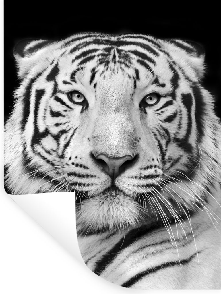 MuchoWow Wandtattoo Wandsticker Wandaufkleber Tiger - Schwarz - Weiß - Porträt - Tiere 120x160 cm Selbstklebend und Repositionierbar - Wierderv...