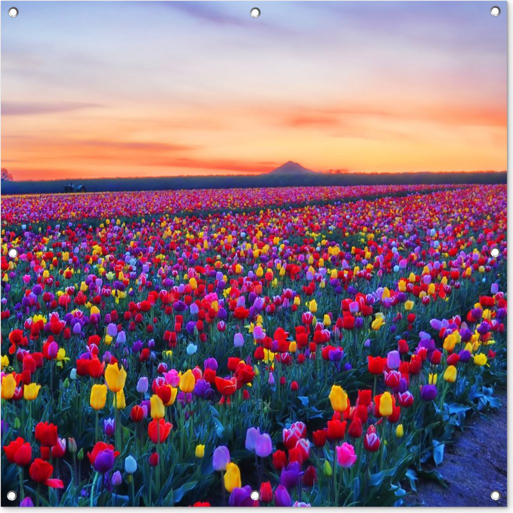 MuchoWow 100x100 cm Outdoor-Poster Gartendeko Sichtschutz Garten Poster für den Garten Tulpen - Regenbogen - Horizont
