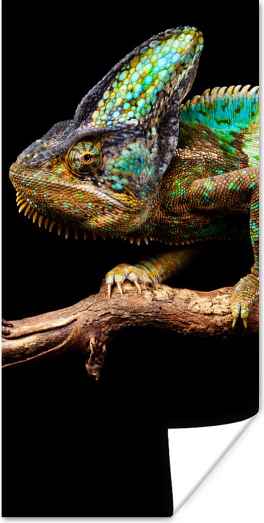 MuchoWow Poster Chamäleon - Zweig - Grün 60x120 cm - Wandschmuck