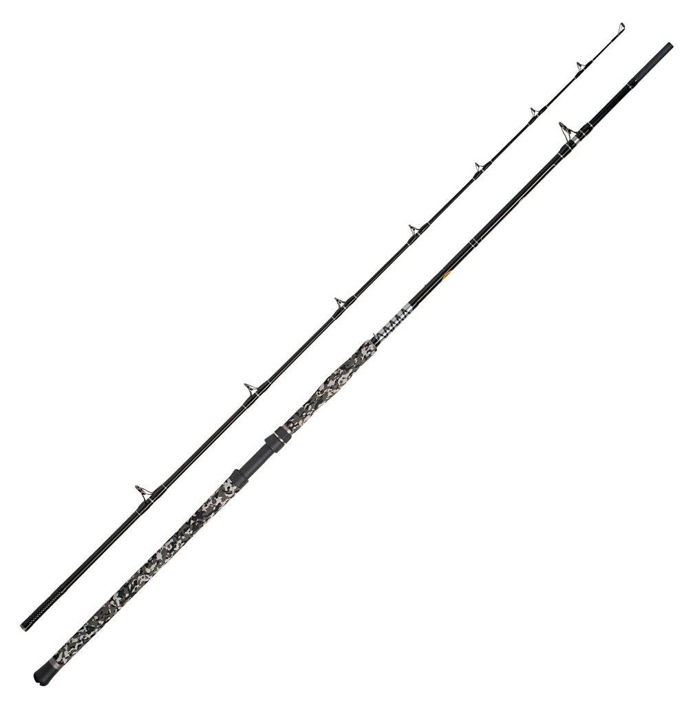 WFT Big Cat Spin Cat 3,00 m, 20-190 g Immagine del prodotto 