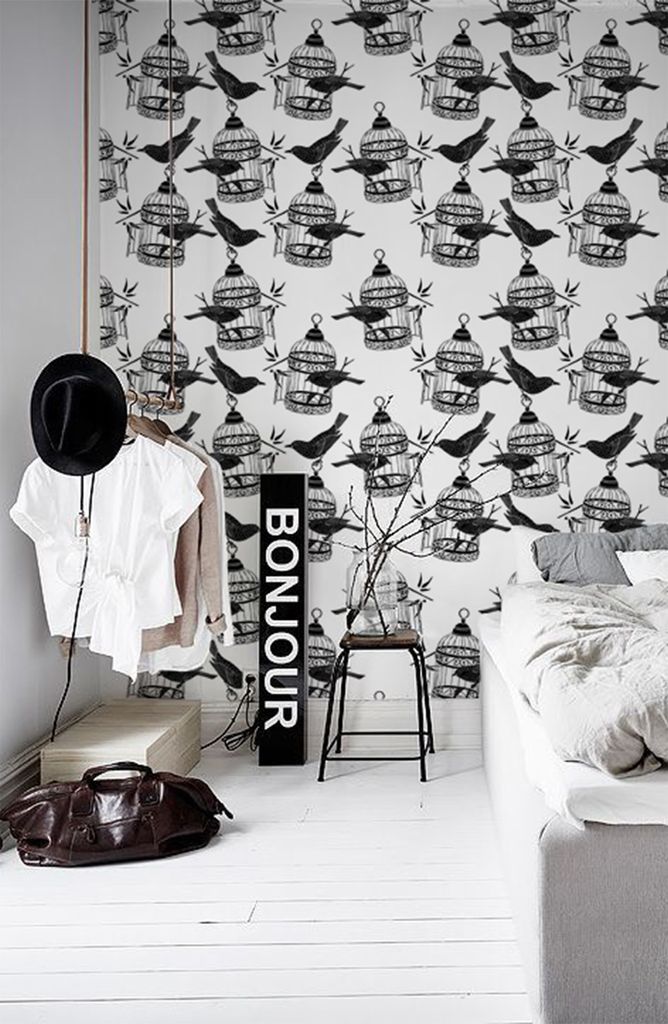 Coloray Fototapete 208x146 cm Latextapete Magicstick - Birdcagevebirds.