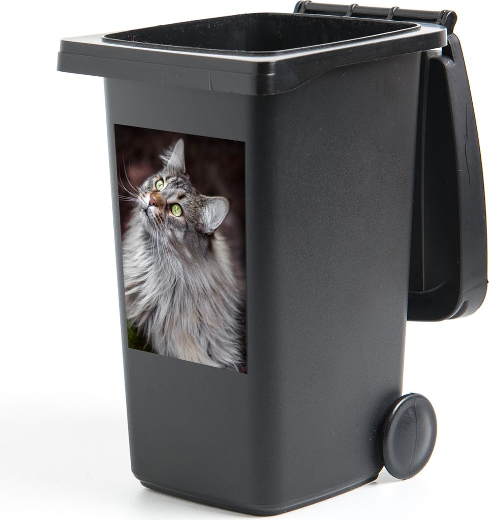 MuchoWow Mülltonnenaufkleber Eine graue Maine Coon Katze 40x60 cm - Mültonnen-sticker - Sticker - Aufkleber für die Mülltonne
