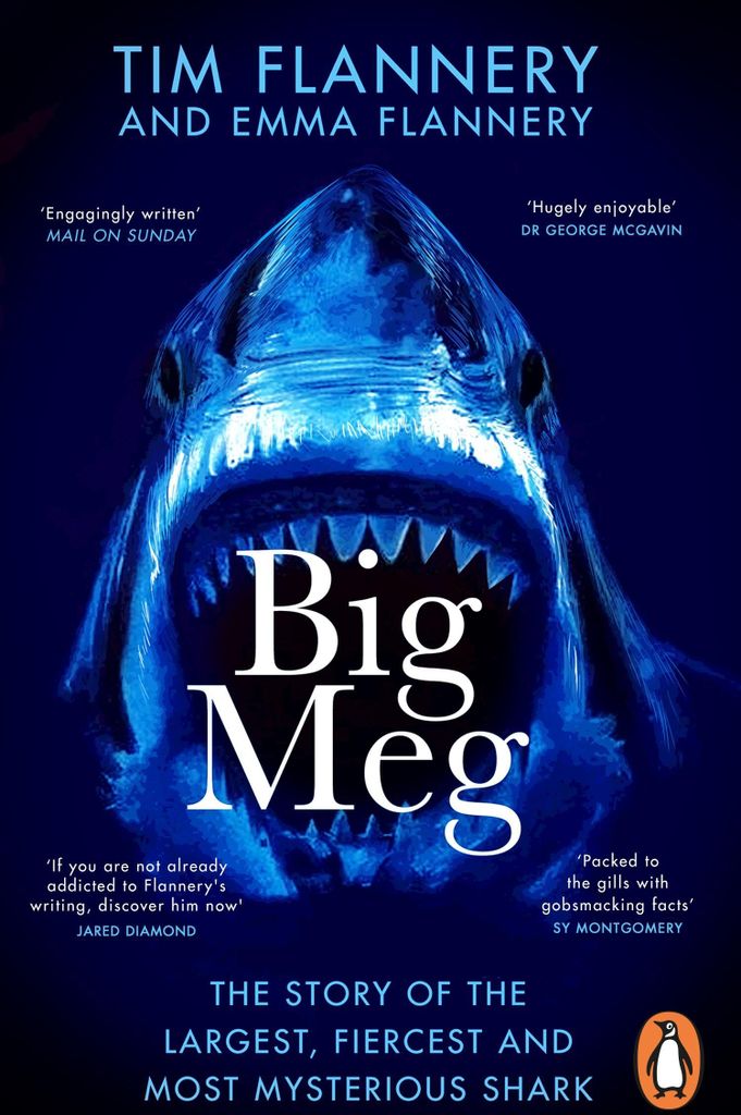 Big Meg