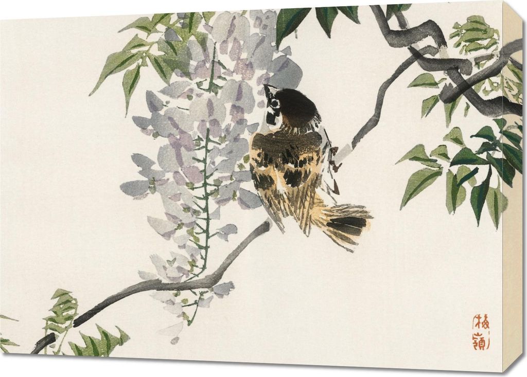 Bild 70x50cm Spatz auf einem Ast, Kōno Bairei Japanisches Vintage für das Wohnzimmer