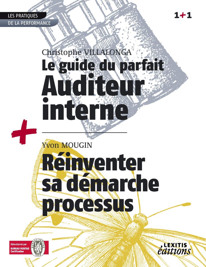 The Guide for the Perfect Internal Auditor QSE + Reinventing your Process Approach RECUEIL COLLECTION 1+1