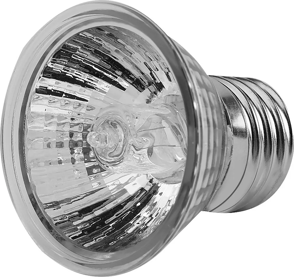 Lampadina Riscaldante 75W Terrario Rettili 110V Bianco Metallo Alta Resa
