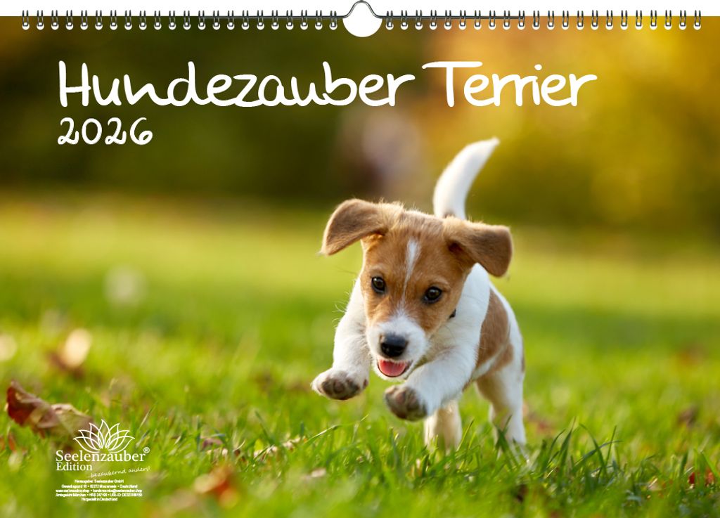 Hundezauber Terrier DIN A3 Kalender für 2026 Welpen und Hunde - Seelenzauber